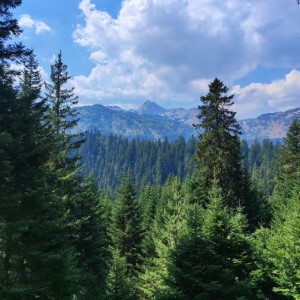 Le parc national du Durmitor ⛰️ 🇲🇪.#montenegro #landscape #durmitor
